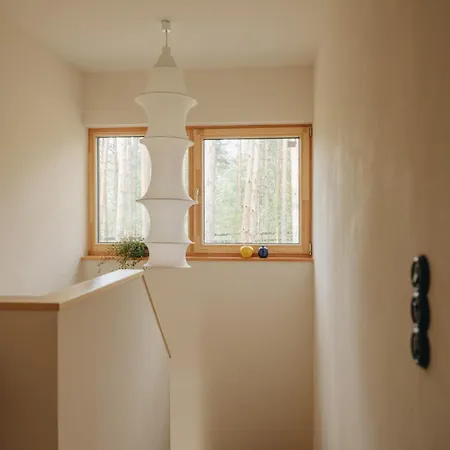 House On The Northen Shore Of Peipus *