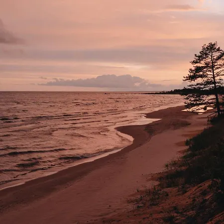 House On The Northen Shore Of Peipus * Alajõe