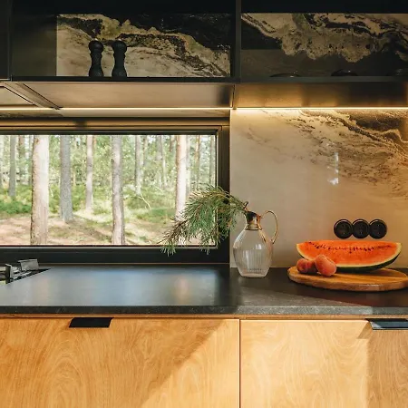 House On The Northen Shore Of Peipus * Alajõe