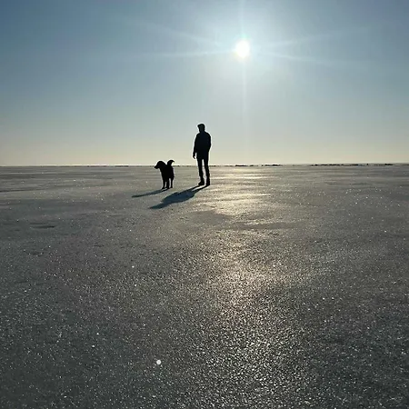 Ferienhaus House On The Northen Shore Of Peipus *