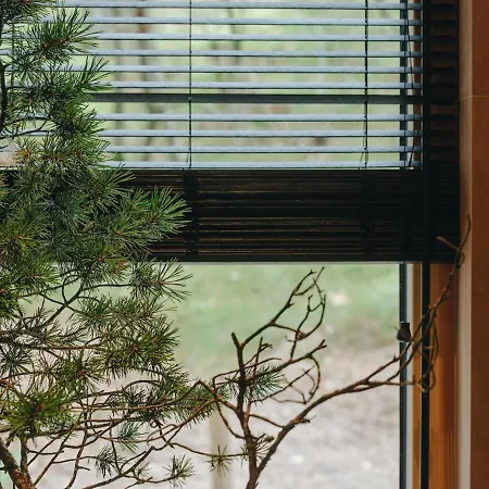 House On The Northen Shore Of Peipus