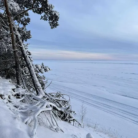 Ferienhaus House On The Northen Shore Of Peipus