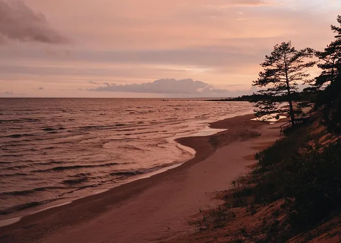 House On The Northen Shore Of Peipus * Alajõe