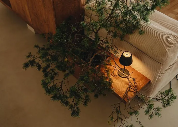 House On The Northen Shore Of Peipus *