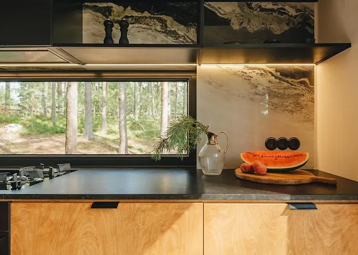 House On The Northen Shore Of Peipus * Alajõe