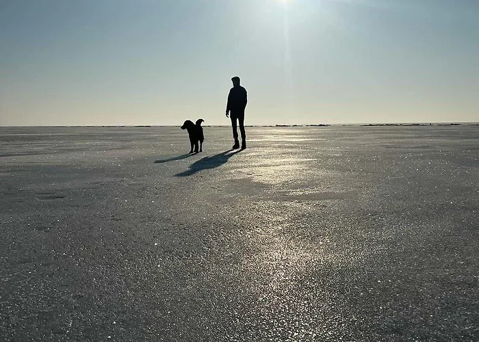 Casa vacanze House On The Northen Shore Of Peipus *