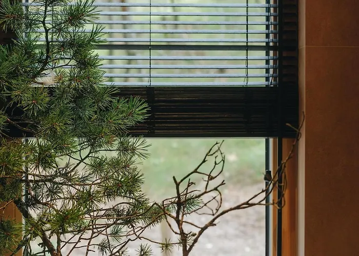 House On The Northen Shore Of Peipus